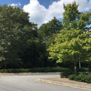 Meet your Posher, Colin